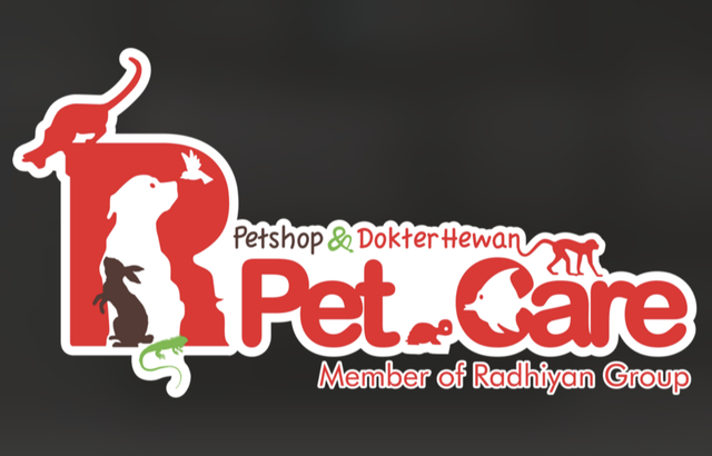 Mengapa Kucing Kesayangan Anda Perlu Perawatan Kulit yang Tepat?